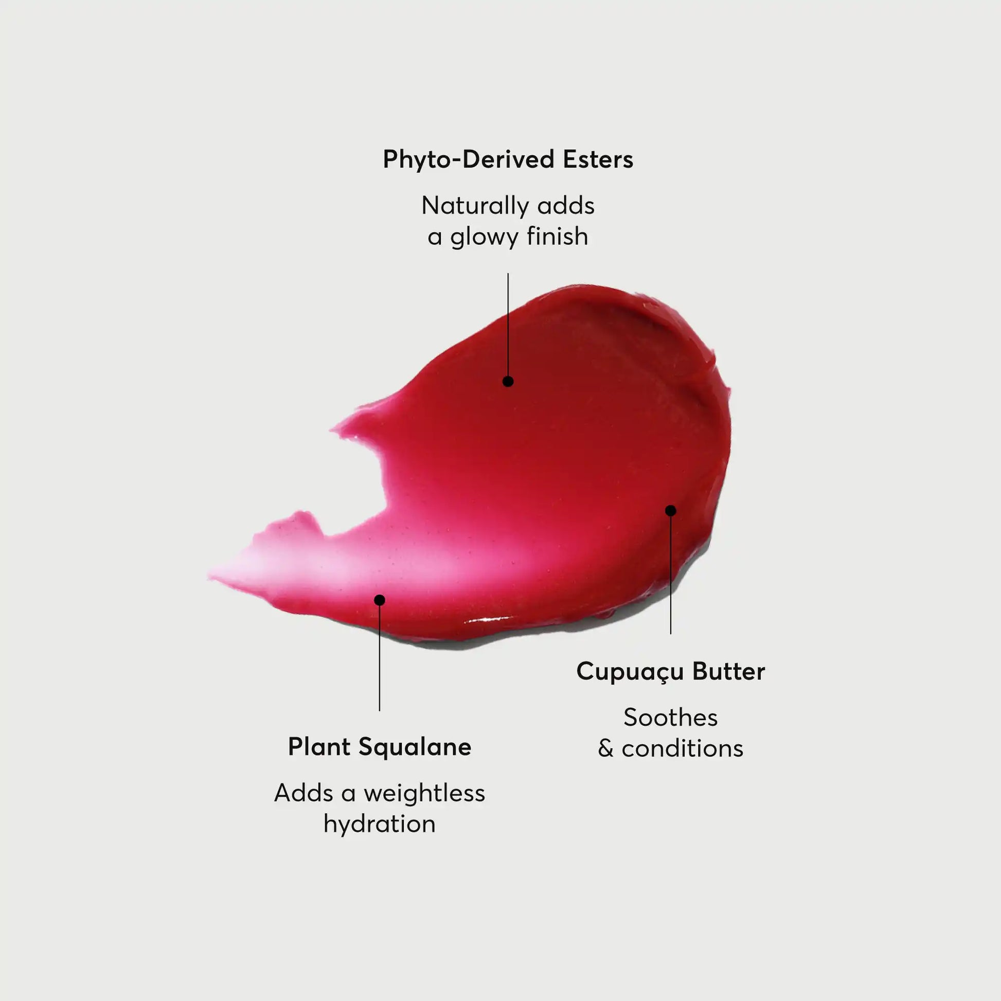 phyto-glow-lip-balm-lychee-p1 NATR-60072-Alt-Images-Phyto-Glow-Lip-Balm-Lychee-01.webp
